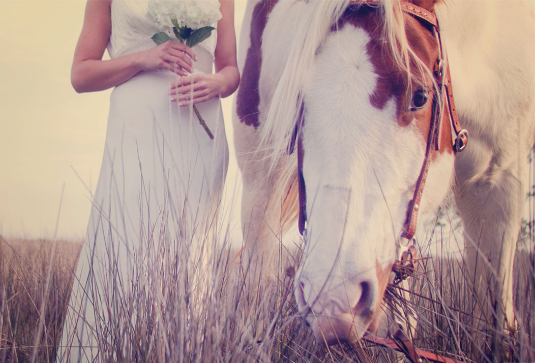 horse and bride