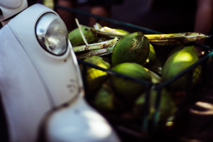 Hello Miss Lovely Photography | Key West Wedding Photographer-10