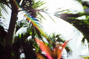Hello Miss Lovely Photography | Key West Wedding Photographer-14