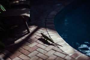 Hello Miss Lovely Photography | Key West Wedding Photographer-62