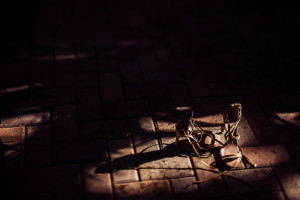 Hello Miss Lovely Photography | Key West Wedding Photographer-82