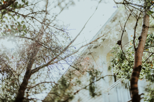 Hello Miss Lovely Photography | watercolor-fl-wedding-photogrpaher-43