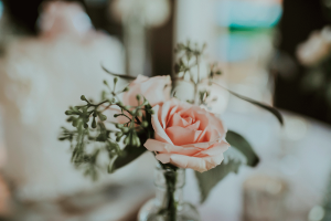 Hello Miss Lovely Photography | watercolor-fl-wedding-photogrpaher-431