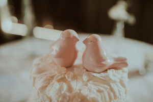 Hello Miss Lovely Photography | watercolor-fl-wedding-photogrpaher-433