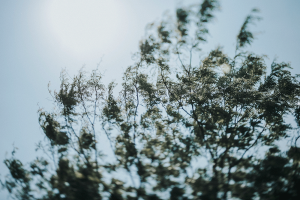 Hello Miss Lovely Photography | reading-art-works-wedding-photography_HML-144