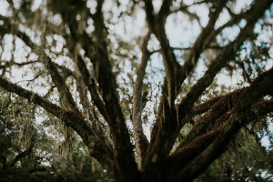 Hello Miss Lovely Photography | destin-wedding-photography-203